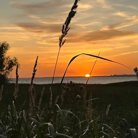 Feha Boddenperle Nilo בית נופש